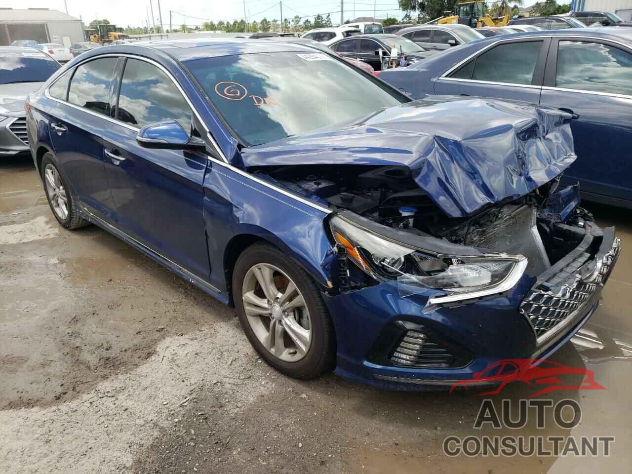 HYUNDAI SONATA 2018 - 5NPE34AFXJH642611