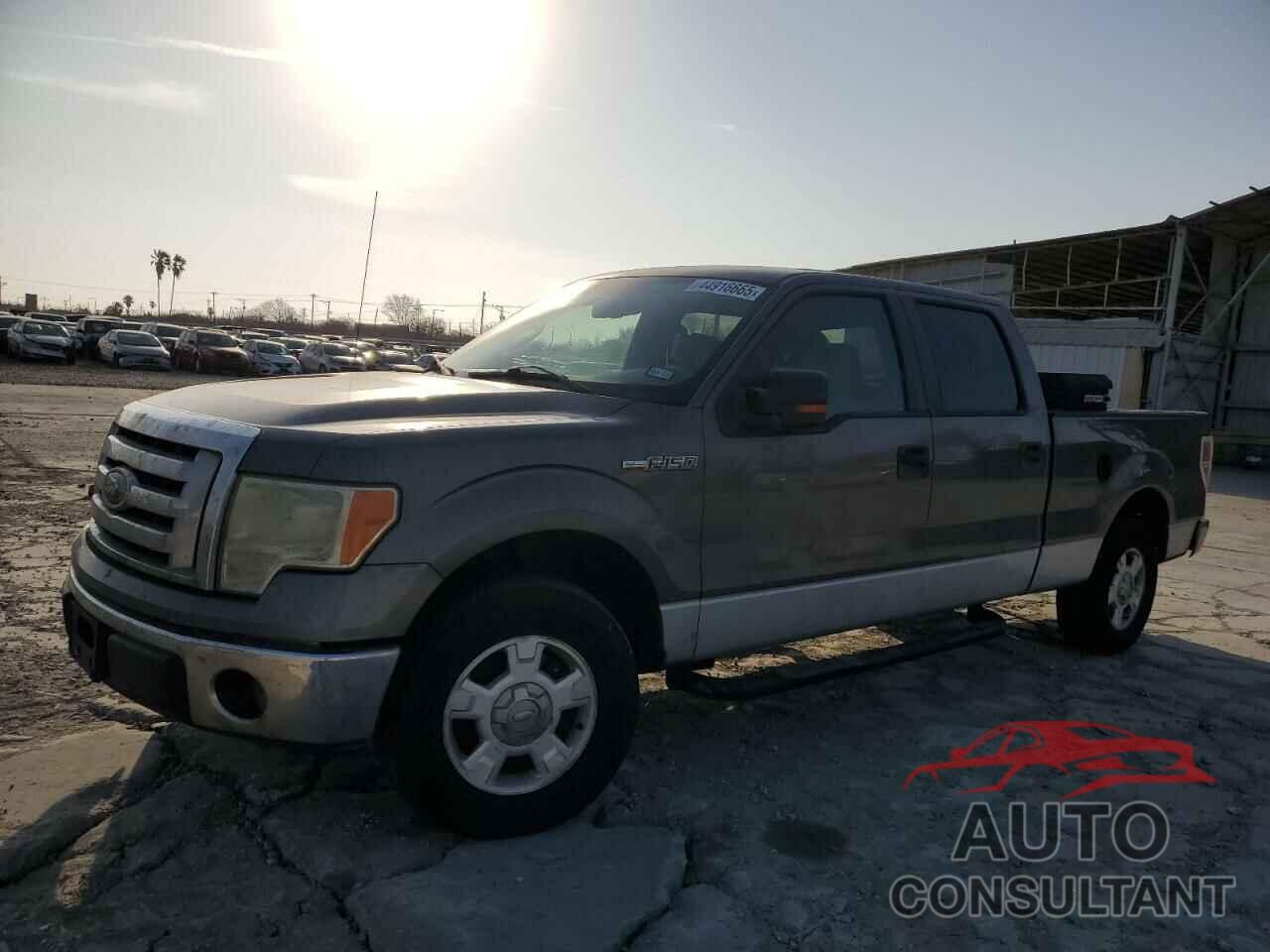 FORD F-150 2010 - 1FTEW1C86AFA68569