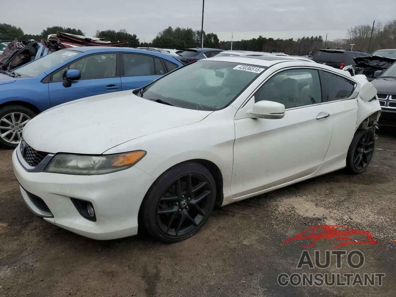 HONDA ACCORD 2013 - 1HGCT2B85DA013041