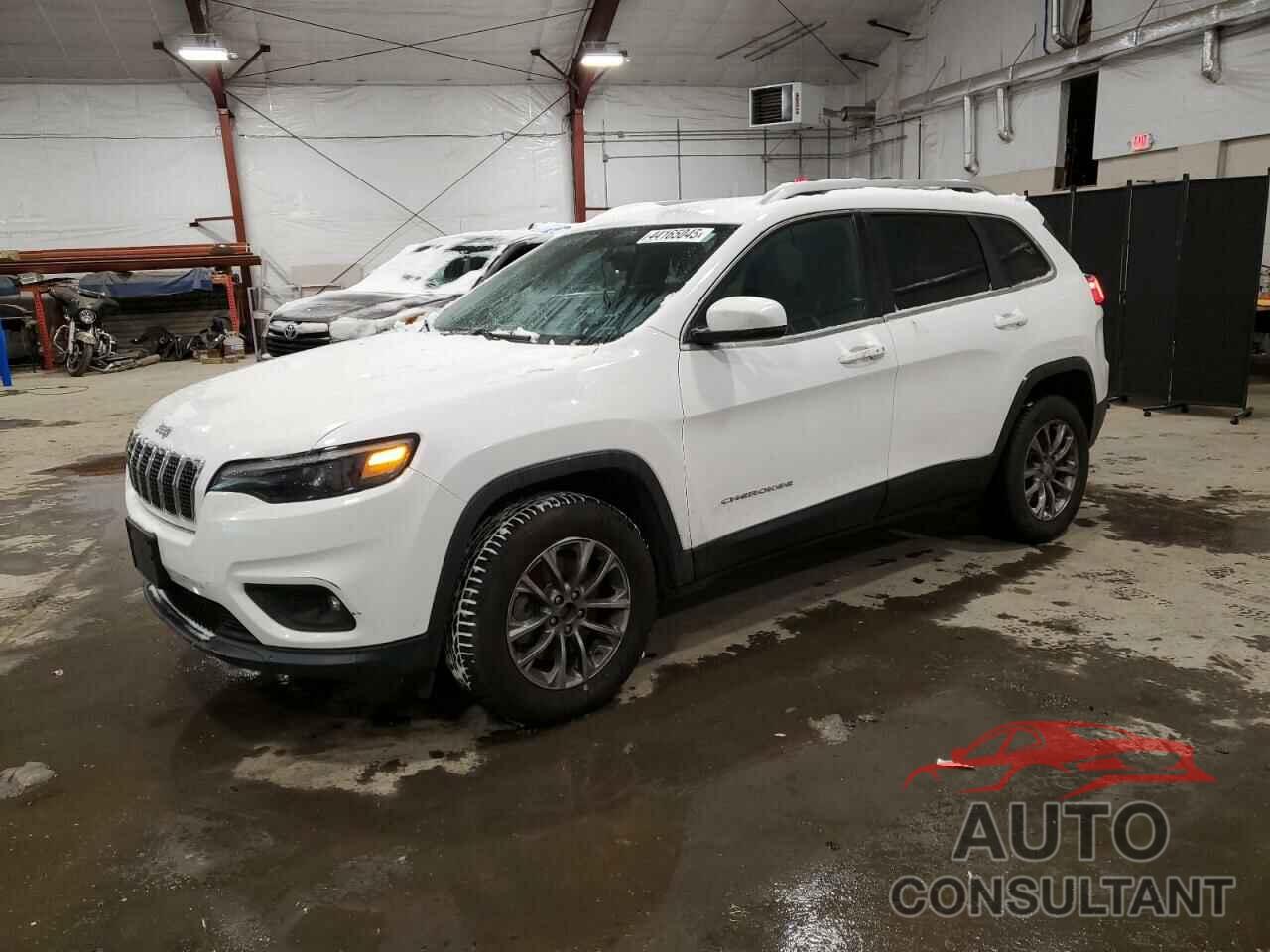JEEP GRAND CHER 2019 - 1C4PJMLB1KD295279