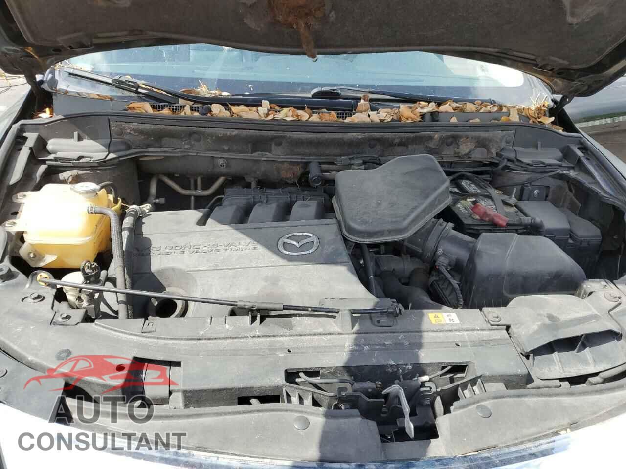 MAZDA CX-9 2012 - JM3TB2DA2C0357939