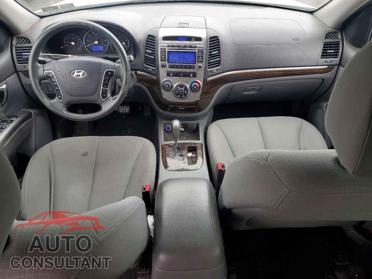 HYUNDAI SANTA FE 2010 - 5NMSGDAB9AH363863
