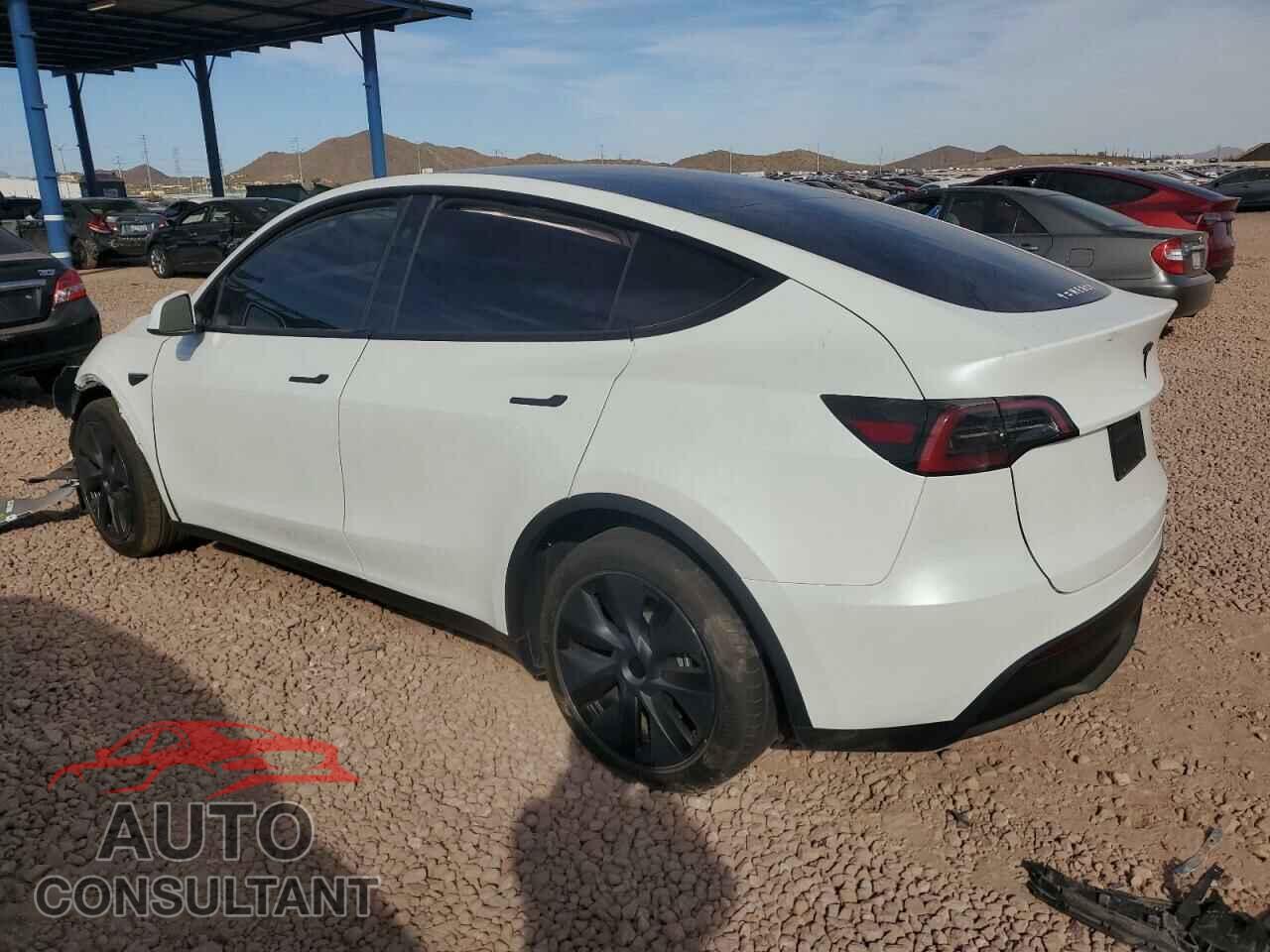 TESLA MODEL Y 2024 - 7SAYGDED1RF202154
