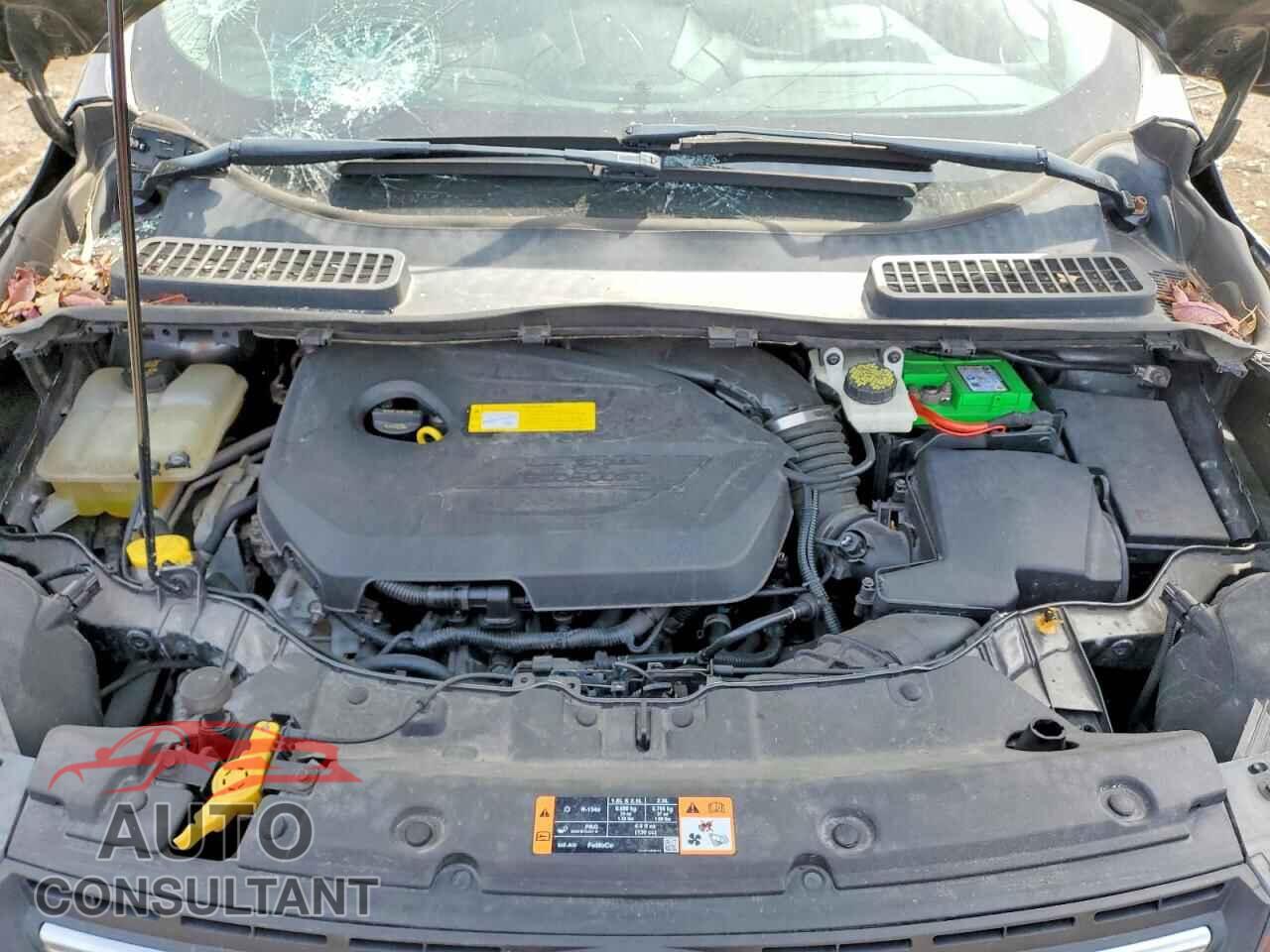 FORD ESCAPE 2015 - 1FMCU9GX2FUB34661