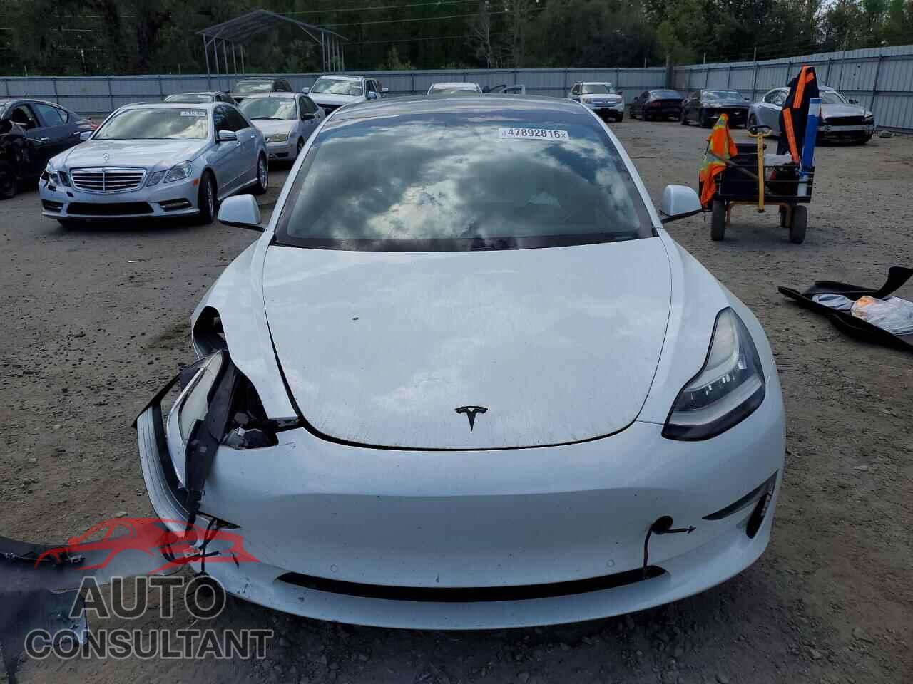 TESLA MODEL 3 2019 - 5YJ3E1EA0KF445090
