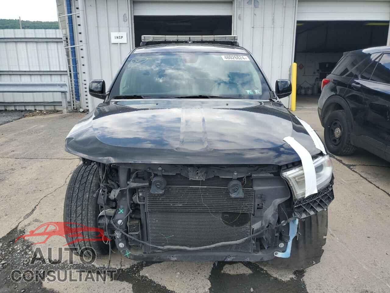 DODGE DURANGO 2019 - 1C4RDJFG6KC795367