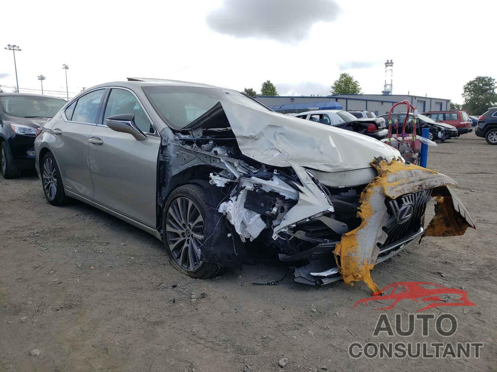 LEXUS ES300 2019 - 58AB21B15KU001563