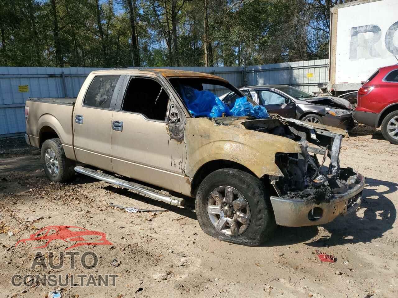 FORD F-150 2013 - 1FTFW1CFXDFD94947