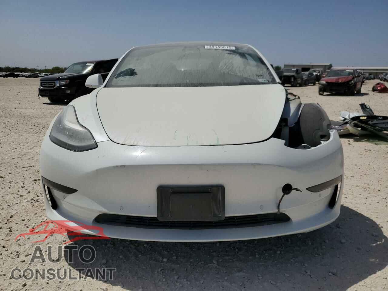 TESLA MODEL 3 2019 - 5YJ3E1EA1KF417931