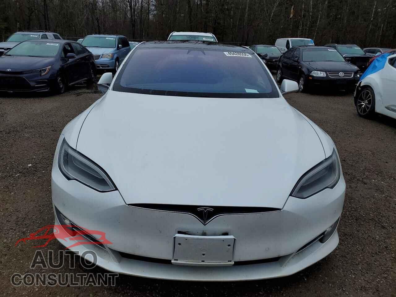 TESLA MODEL S 2019 - 5YJSA1E49KF334975
