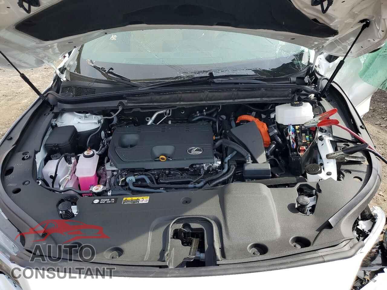LEXUS UNKNOWN 2026 - 2T2BBMCA9TC118195