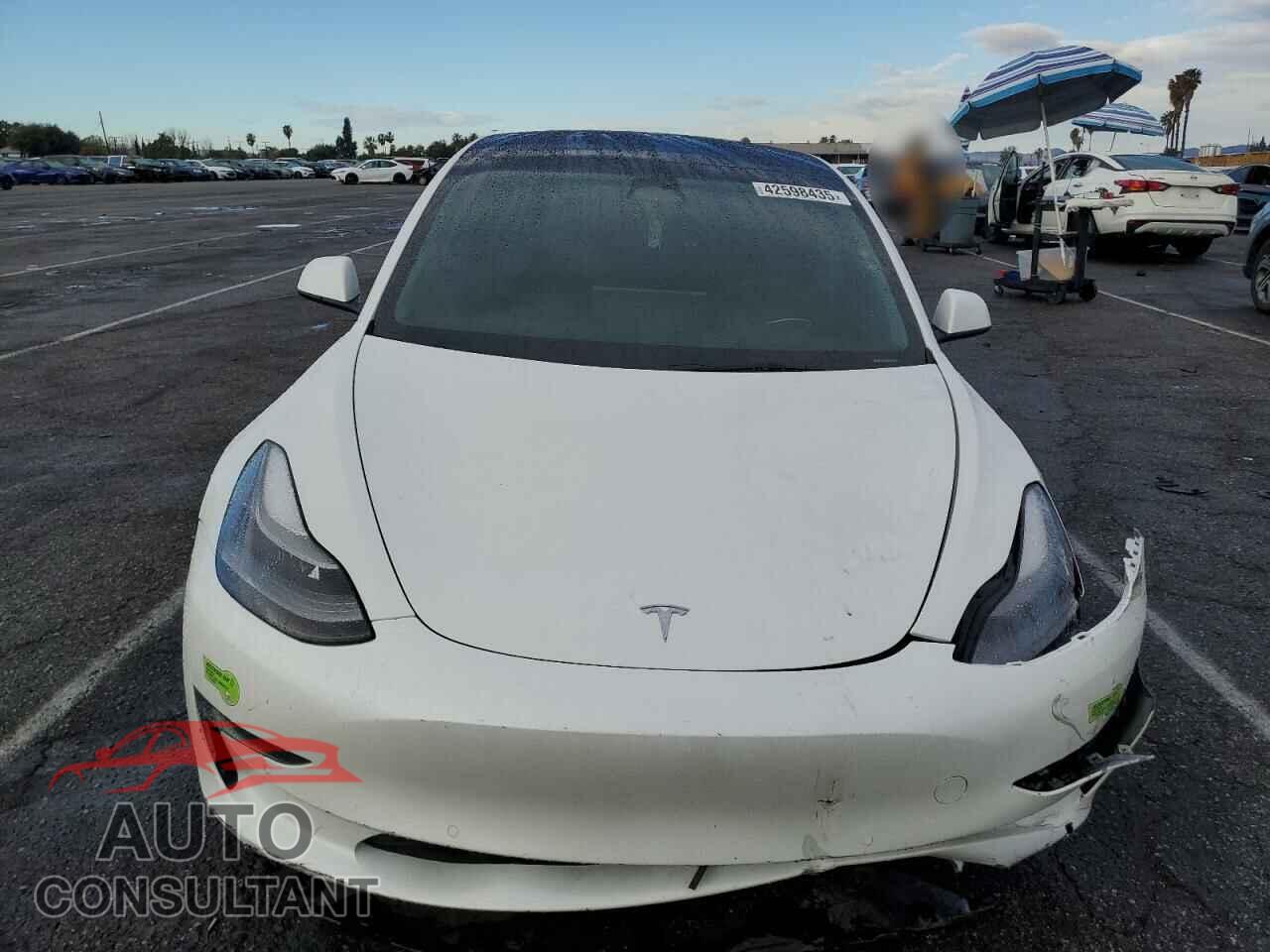 TESLA MODEL 3 2022 - 5YJ3E1EA7NF307034