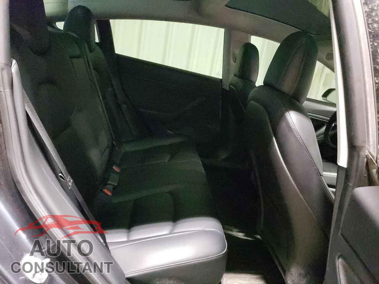 TESLA MODEL 3 2019 - 5YJ3E1EB2KF495692