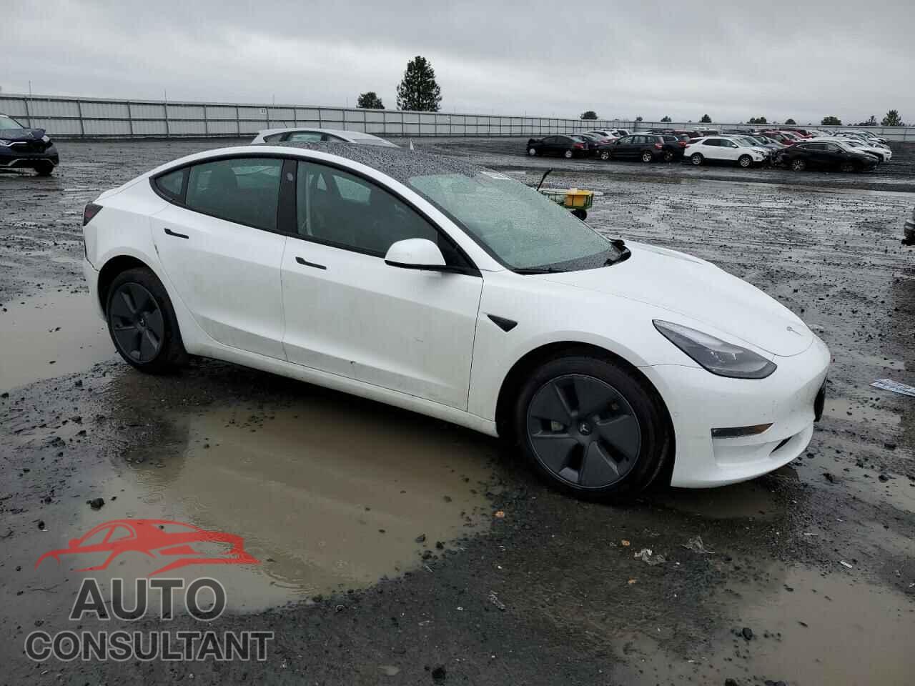 TESLA MODEL 3 2022 - 5YJ3E1EB5NF316419