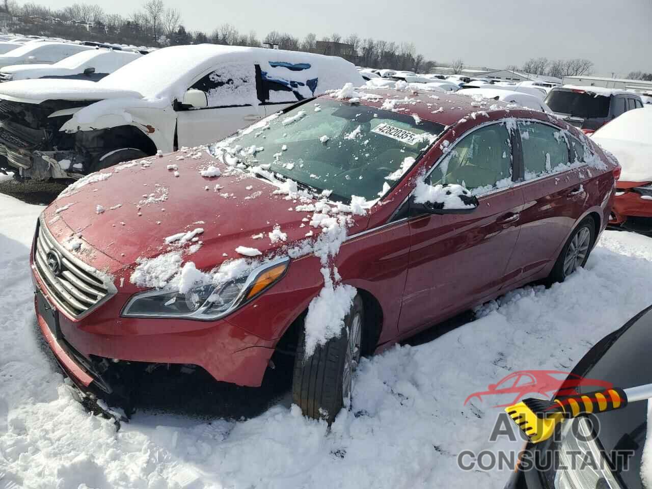 HYUNDAI SONATA 2016 - 5NPE24AFXGH292800
