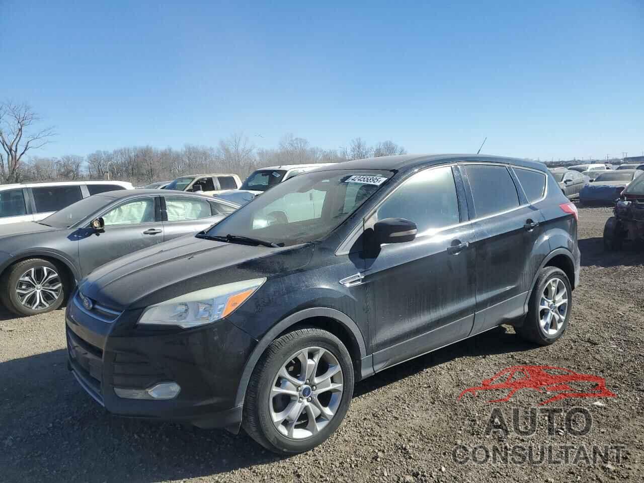 FORD ESCAPE 2013 - 1FMCU0HX0DUD12266