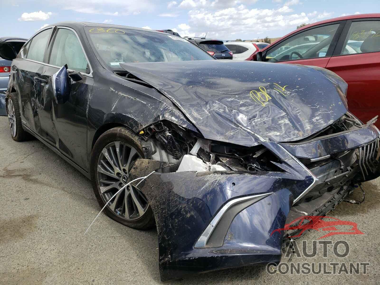 LEXUS ES300 2021 - 58ADA1C19MU001398