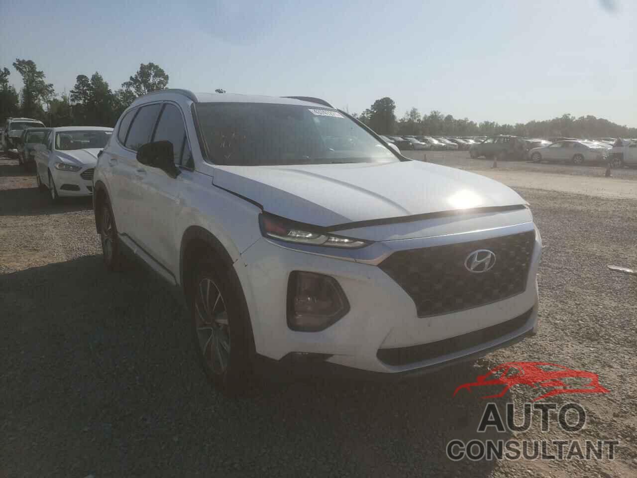 HYUNDAI SANTA FE 2019 - 5NMS33AD8KH055513