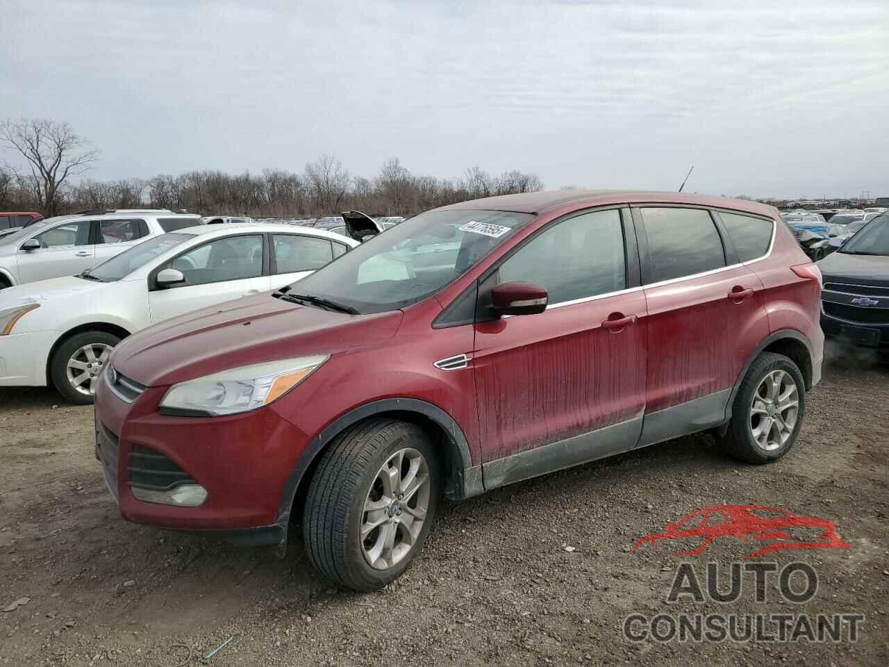 FORD ESCAPE 2013 - 1FMCU9HX9DUC70586