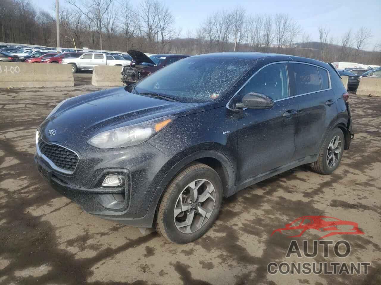 KIA SPORTAGE 2022 - KNDPMCAC9N7987113