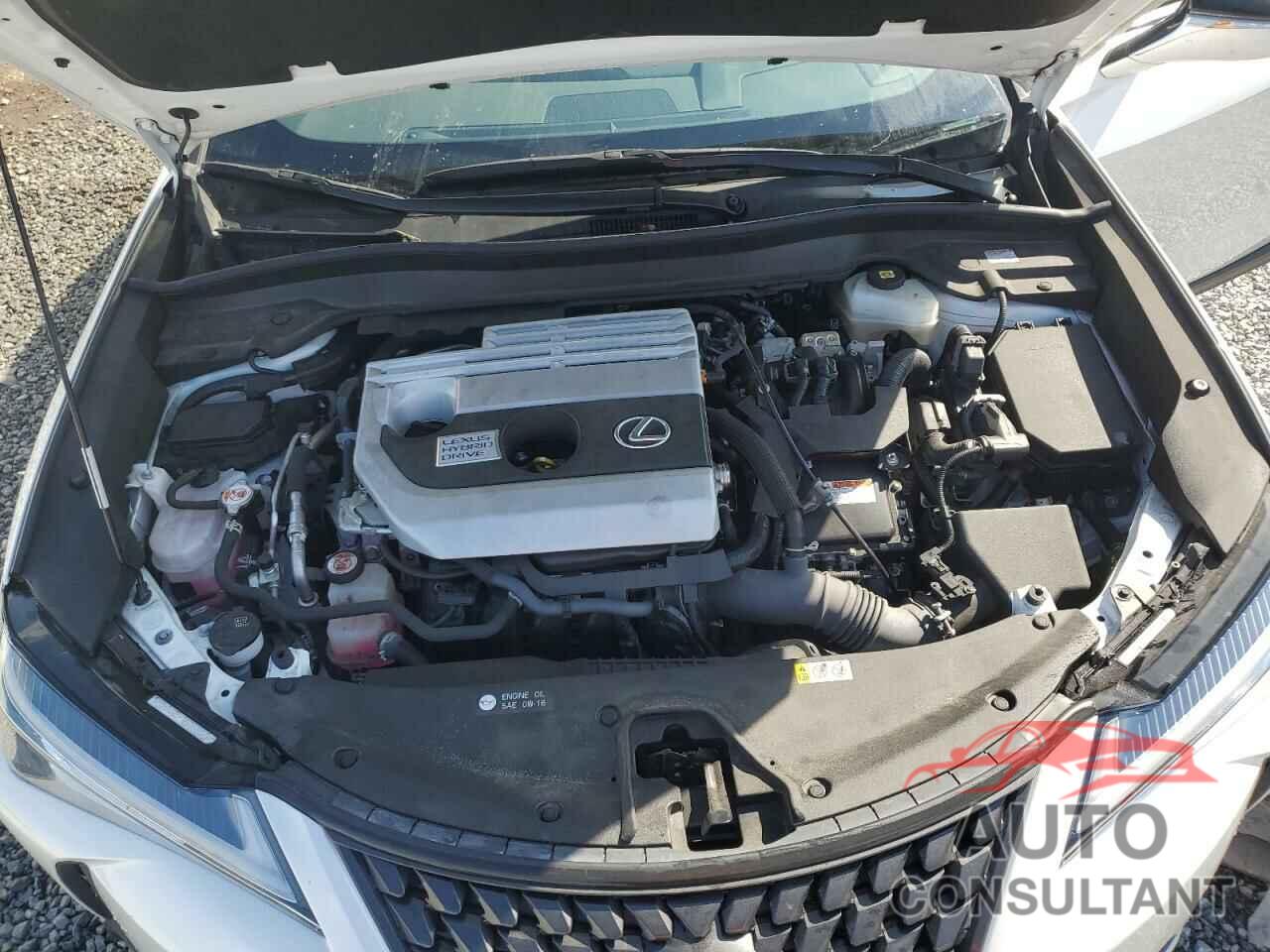 LEXUS UX 250H 2021 - JTHP9JBH0M2049768