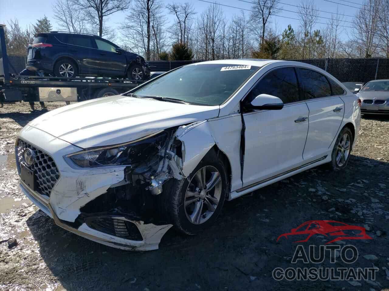 HYUNDAI SONATA 2019 - 5NPE34AF4KH821048