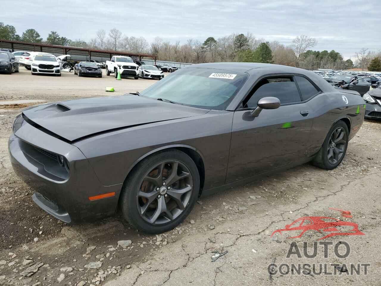 DODGE CHALLENGER 2019 - 2C3CDZBT5KH573623