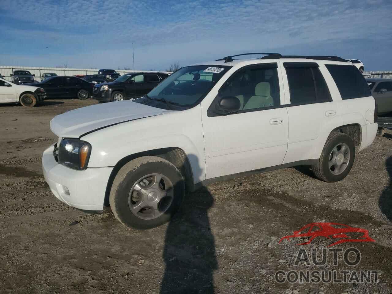 CHEVROLET TRAILBLZR 2009 - 1GNDS33S292114214