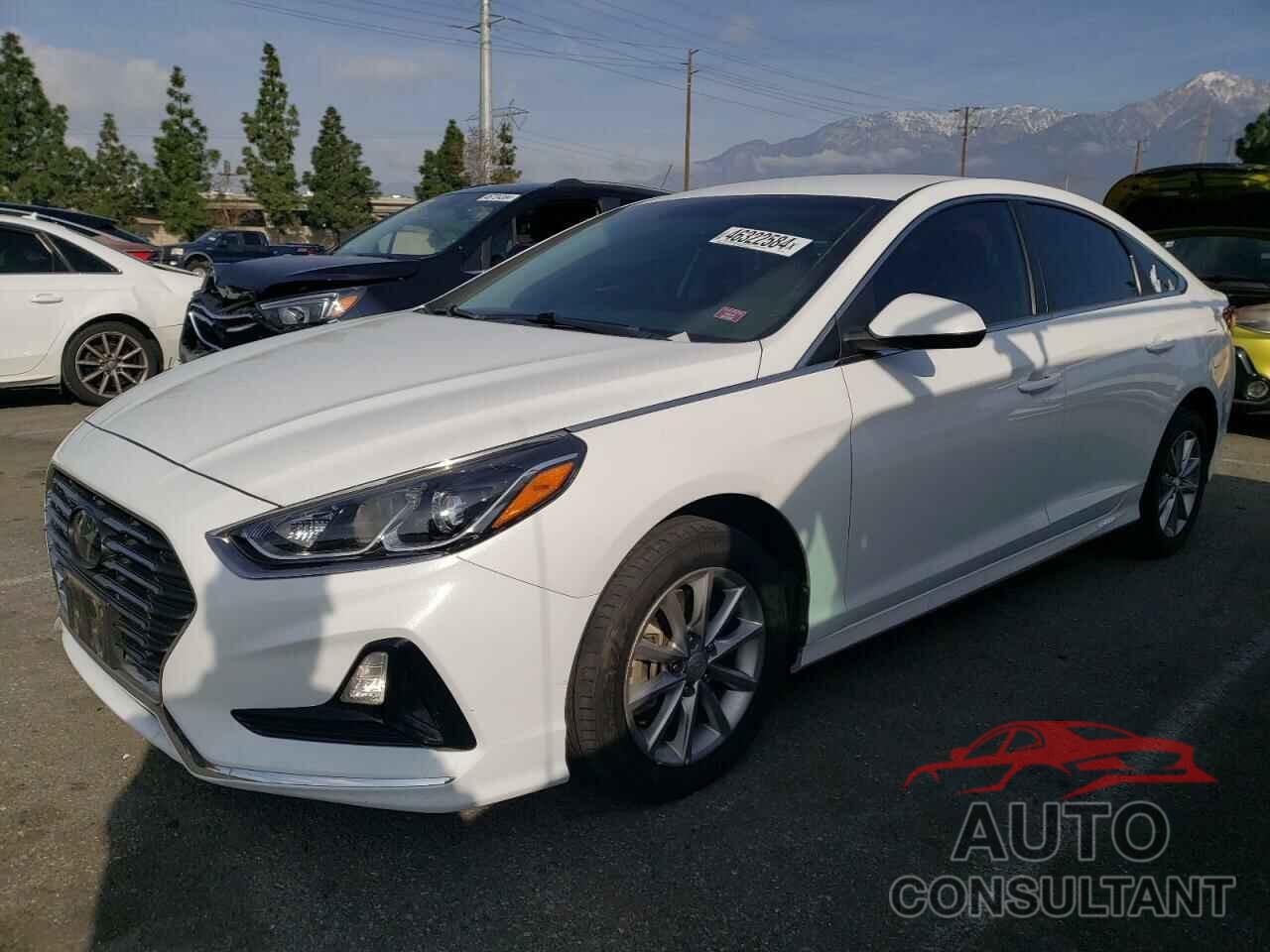 HYUNDAI SONATA 2019 - 5NPE24AF2KH772287