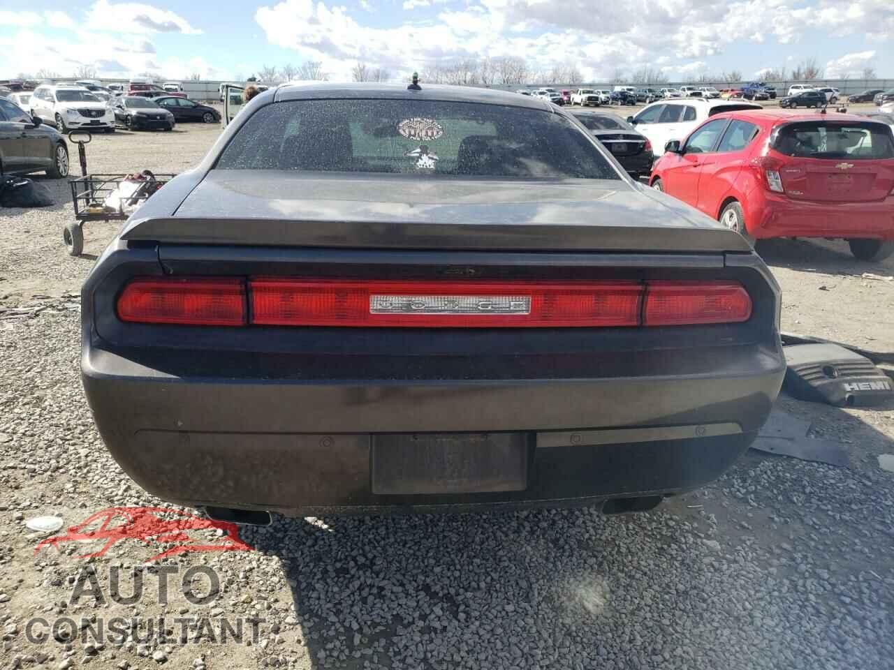 DODGE CHALLENGER 2013 - 2C3CDYBT2DH679671