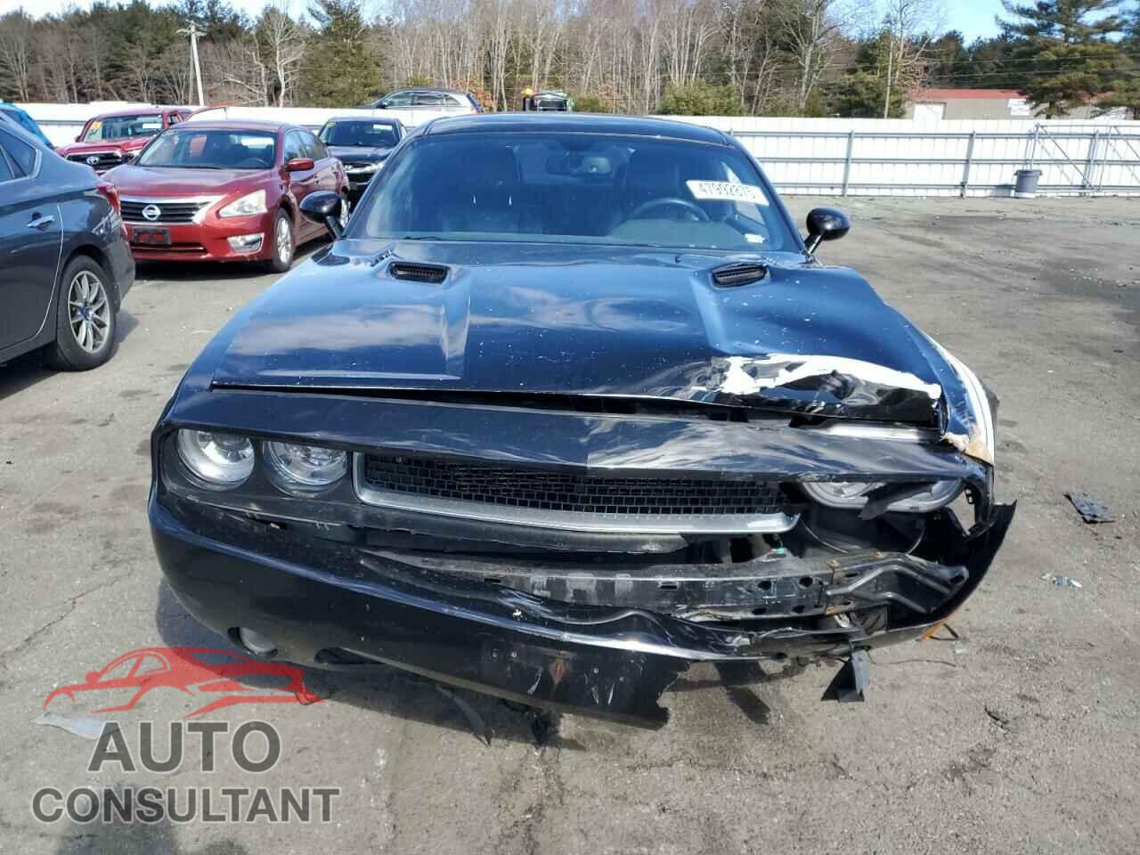 DODGE CHALLENGER 2013 - 2C3CDYBT2DH579277