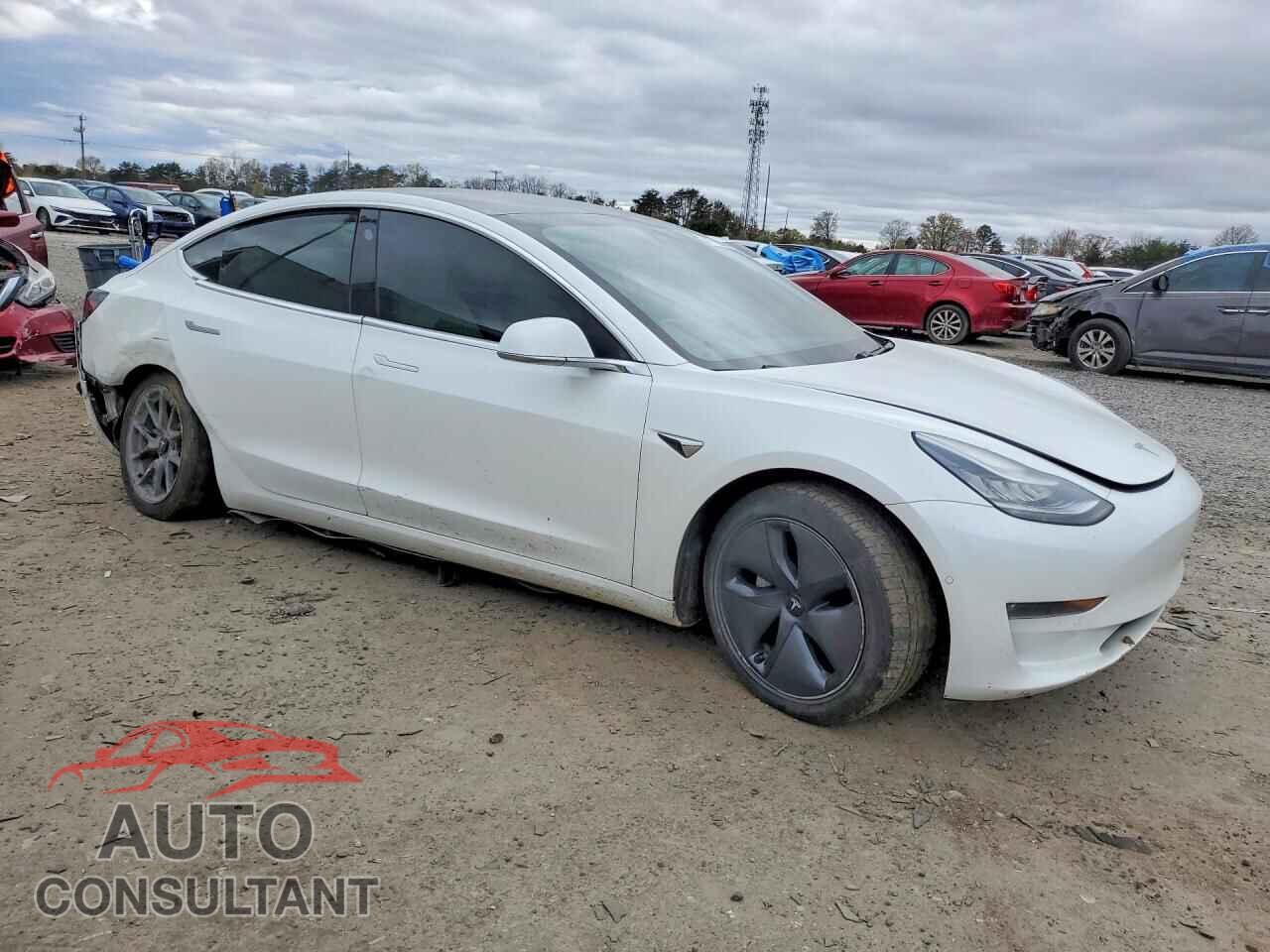 TESLA MODEL 3 2019 - 5YJ3E1EB7KF406845