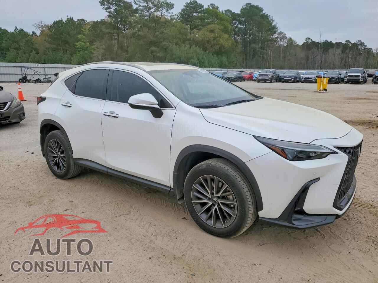 LEXUS UNKNOWN 2023 - 2T2GDCAZ9PC005596
