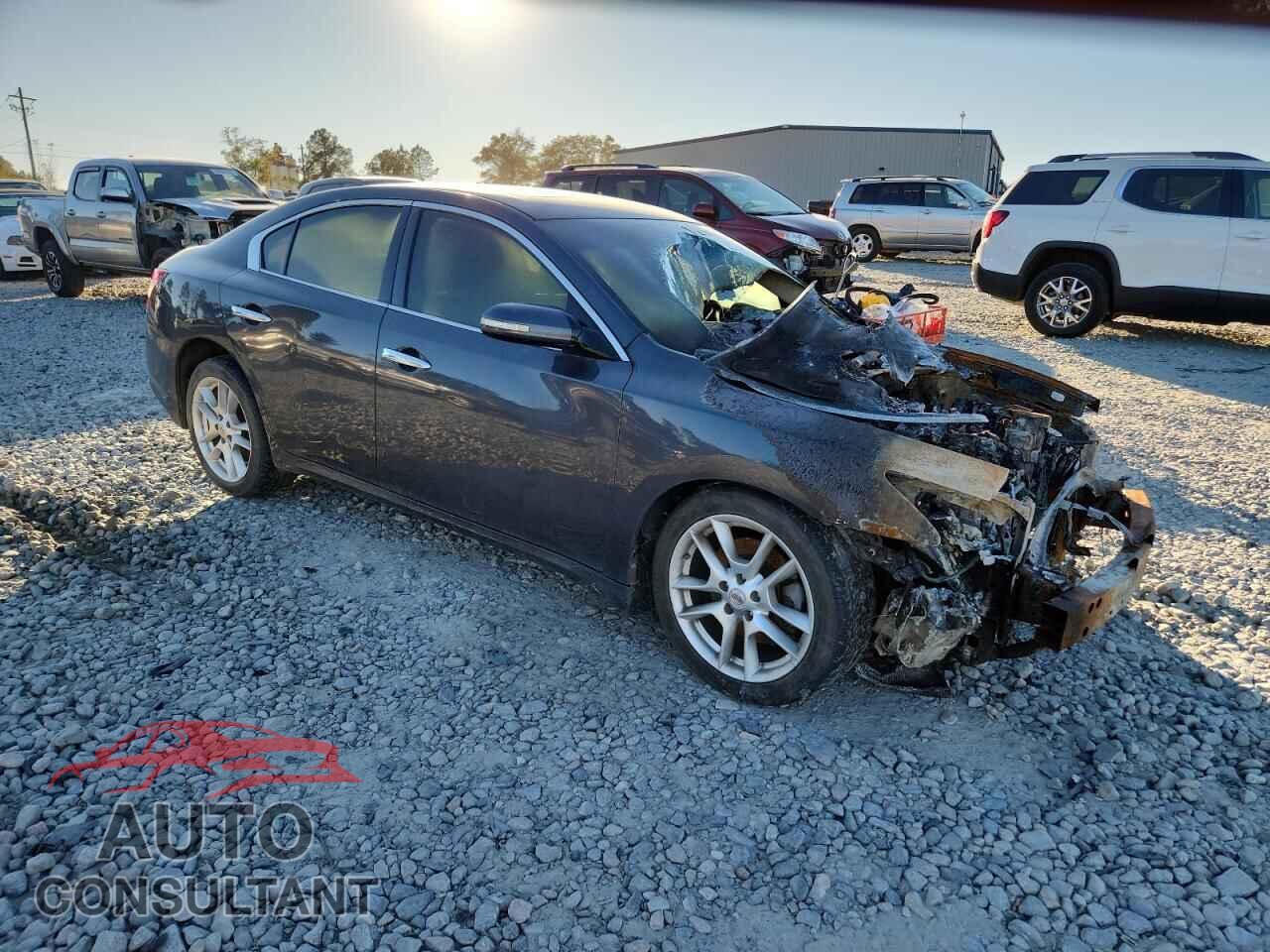 NISSAN MAXIMA 2010 - 1N4AA5AP8AC848479