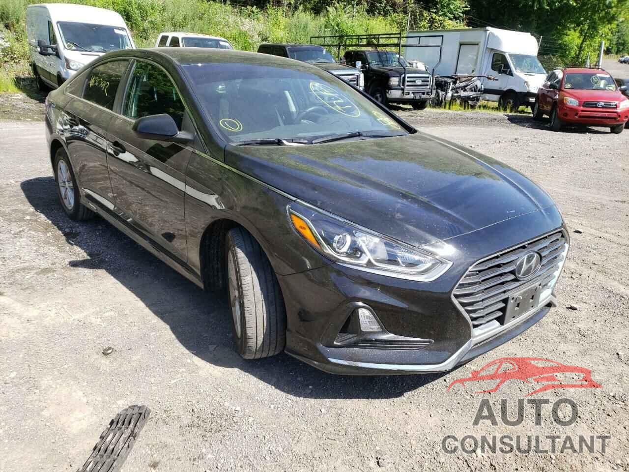 HYUNDAI SONATA 2019 - 5NPE24AF9KH818066
