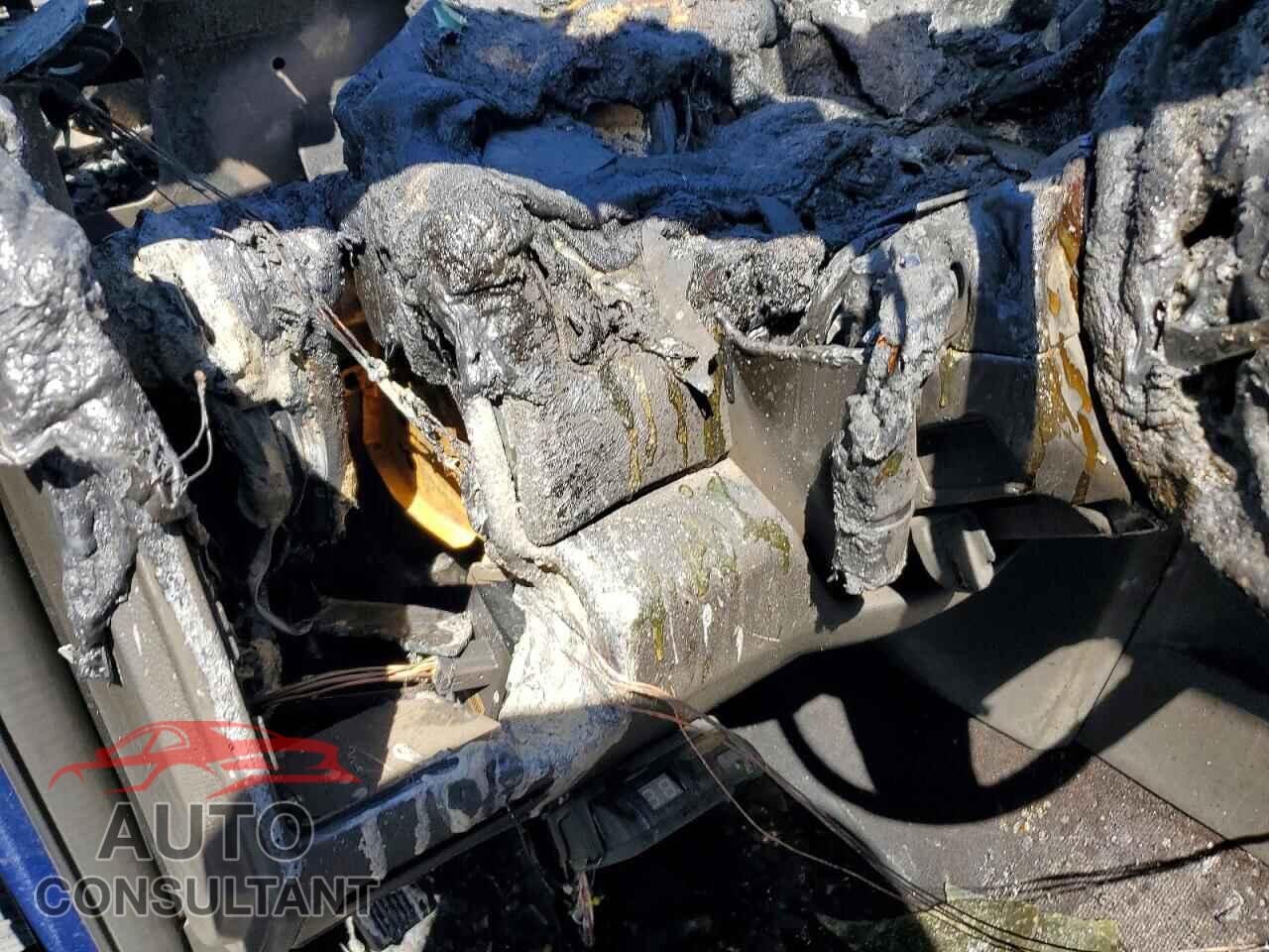 DODGE RAM 1500 2009 - 1D3HB13TX9S707401