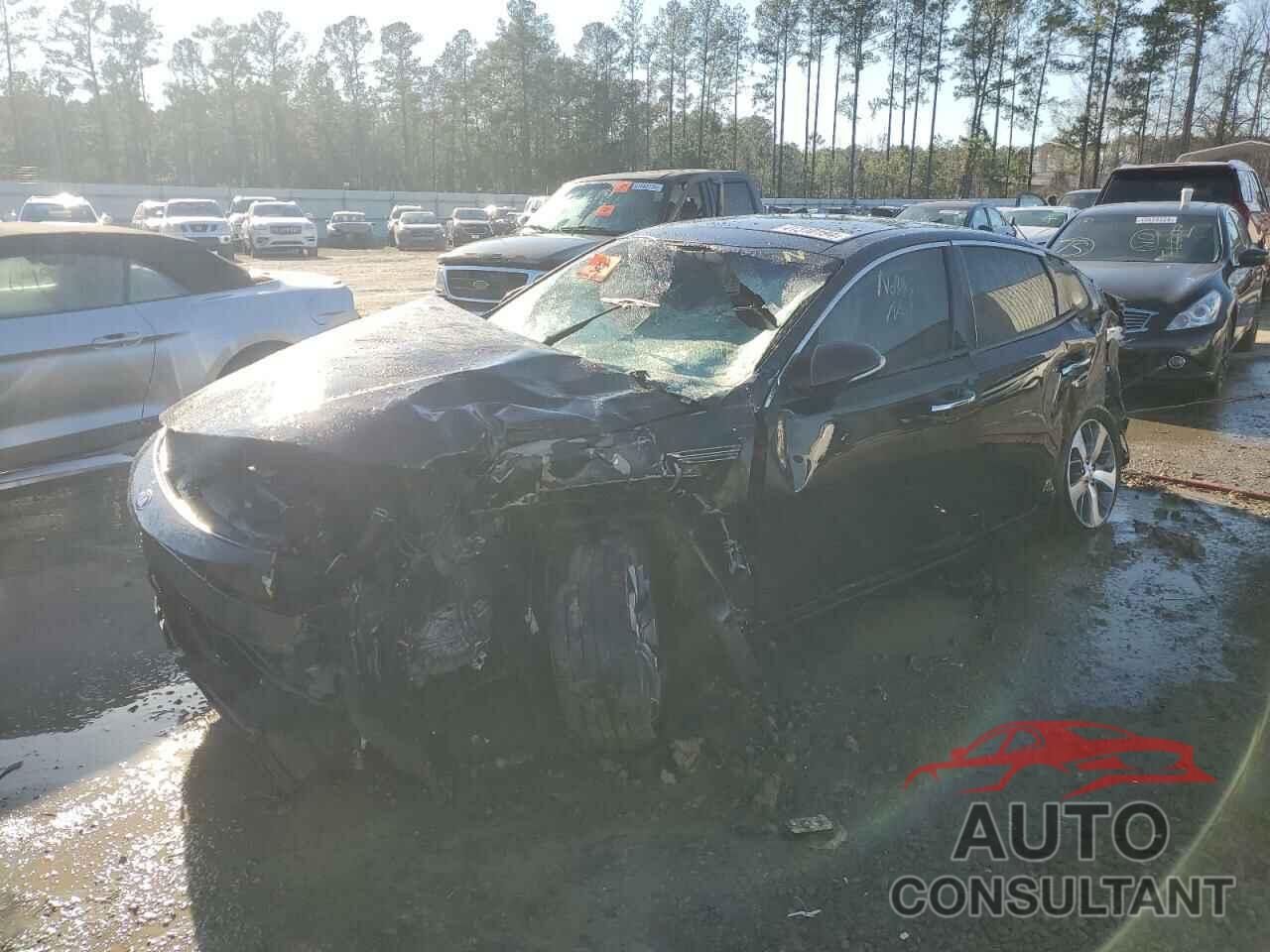 KIA OPTIMA 2019 - 5XXGT4L38KG294834