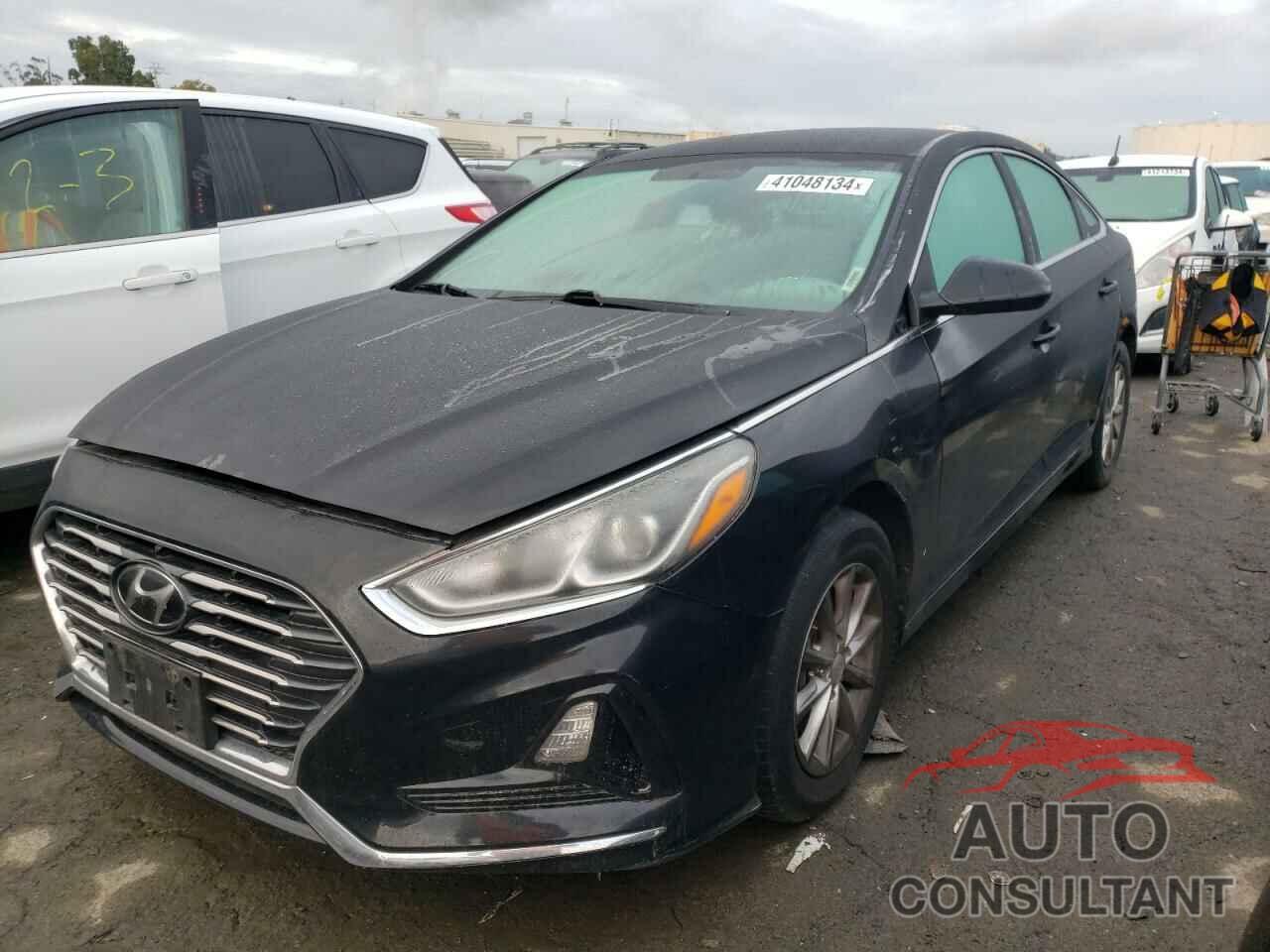 HYUNDAI SONATA 2019 - 5NPE24AF1KH747400