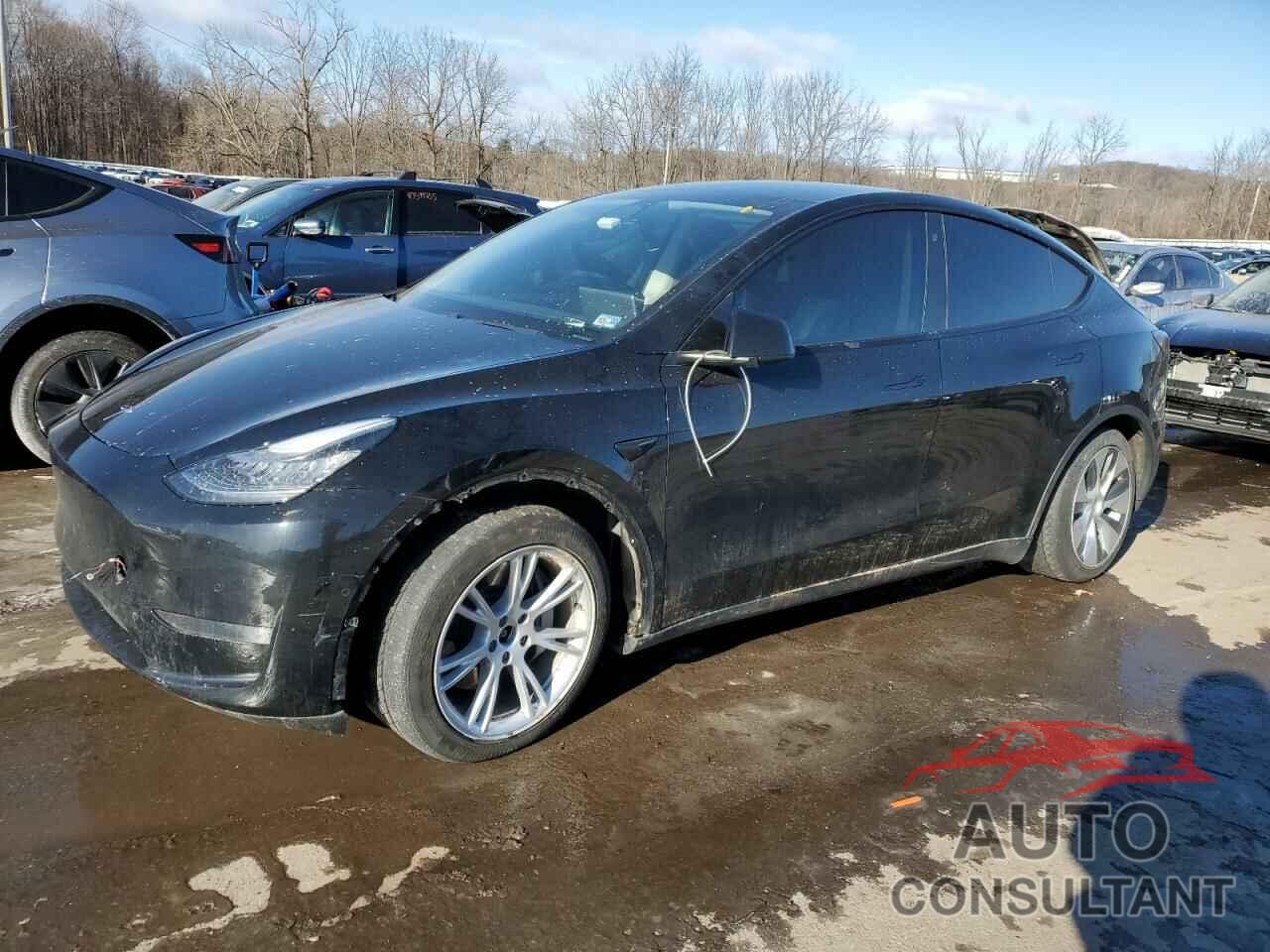 TESLA MODEL Y 2021 - 5YJYGDEE0MF067876
