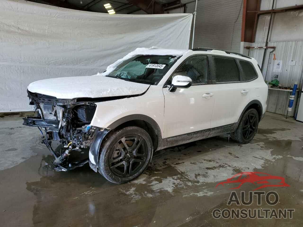 KIA TELLURIDE 2024 - 5XYP5DGC3RG483384