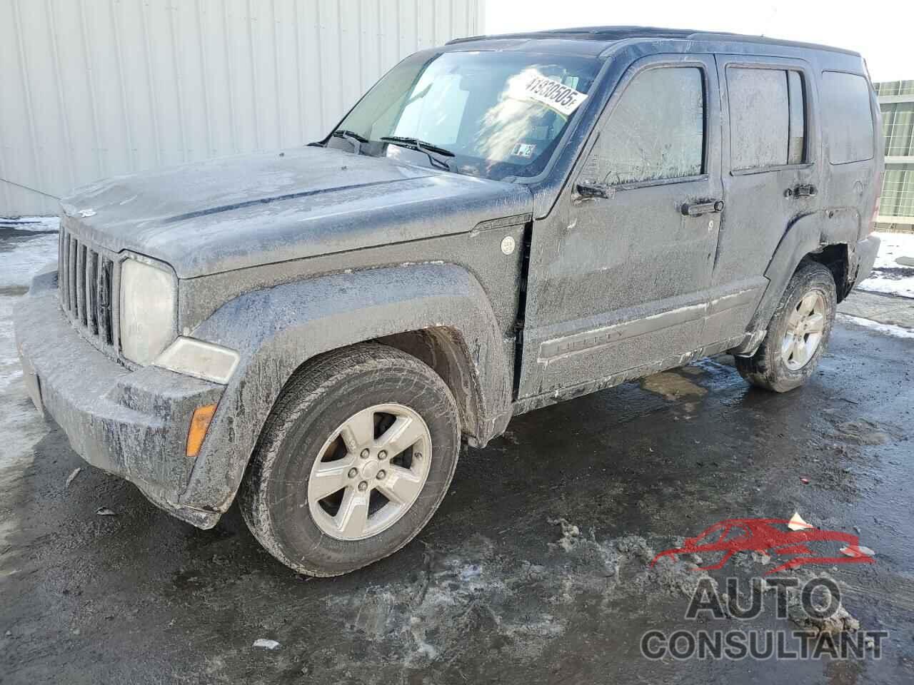JEEP LIBERTY 2011 - 1J4PN2GK2BW504675