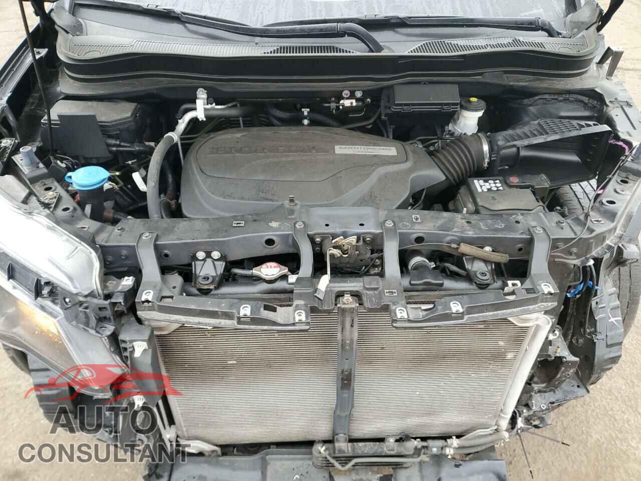 HONDA RIDGELINE 2019 - 5FPYK3F11KB044180