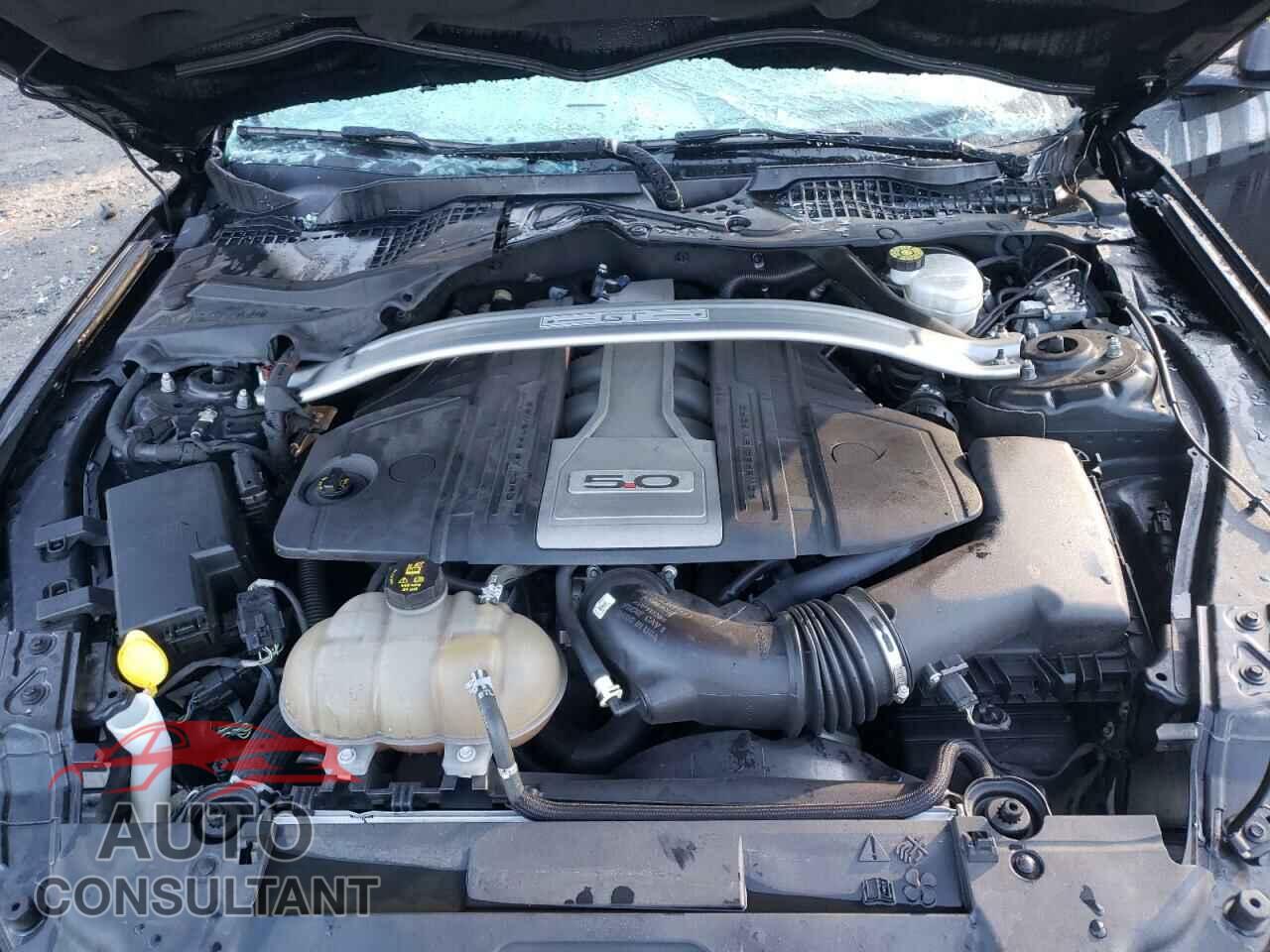 FORD MUSTANG 2019 - 1FA6P8CF0K5174263