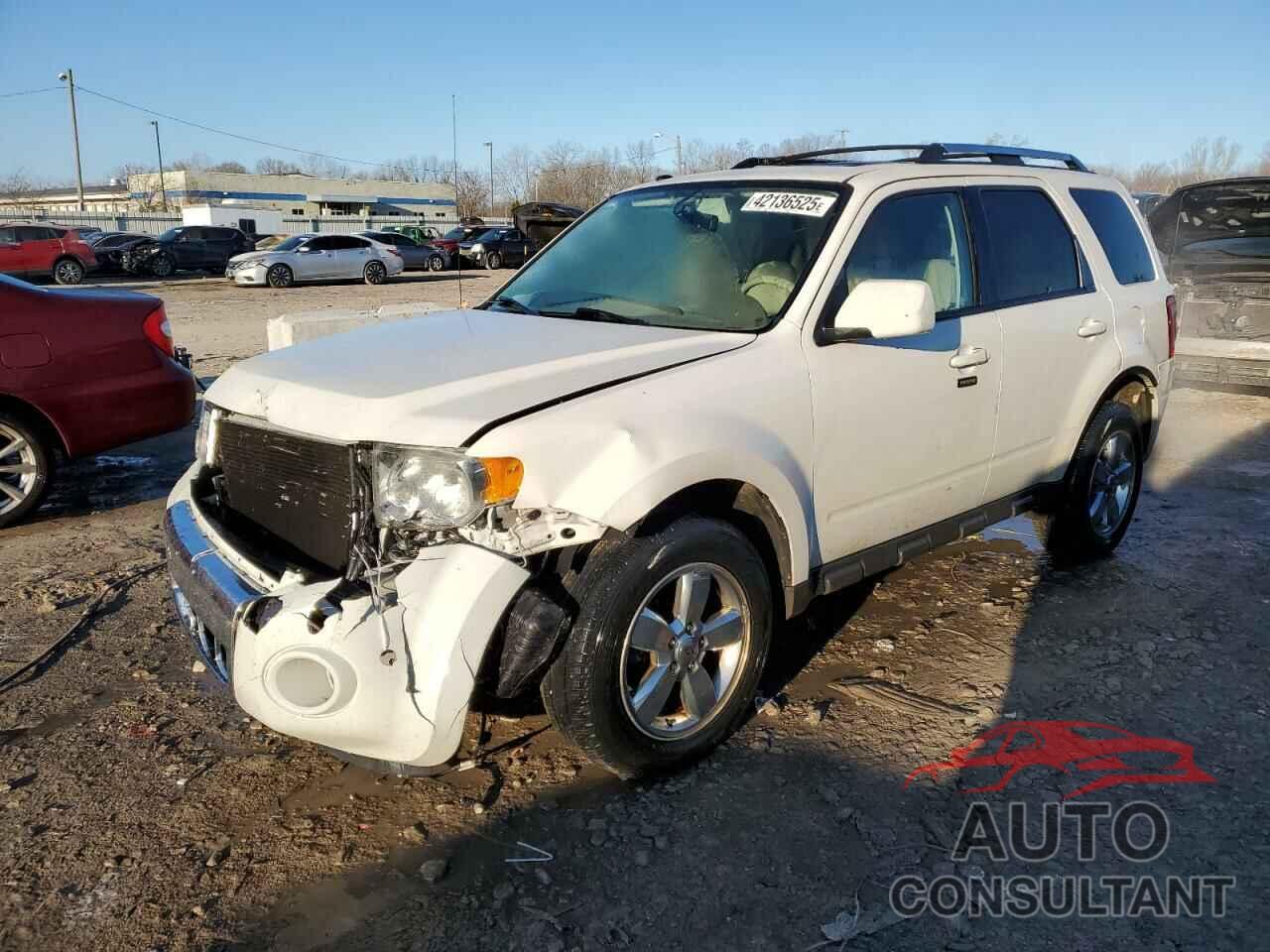 FORD ESCAPE 2012 - 1FMCU0E72CKA13800