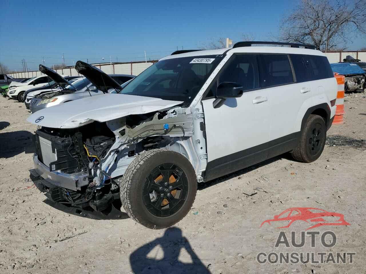 HYUNDAI SANTA FE 2025 - 5NMP3DGL3SH075520