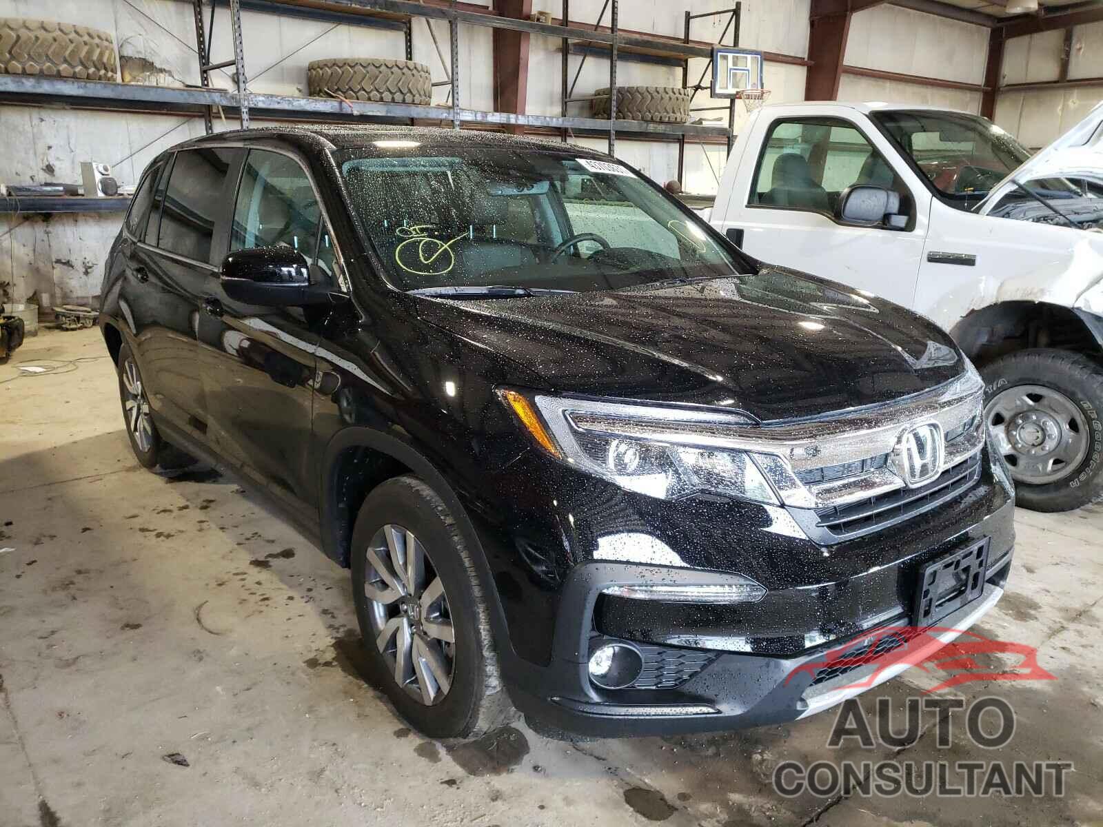 HONDA PILOT 2019 - 5FNYF6H56KB093695