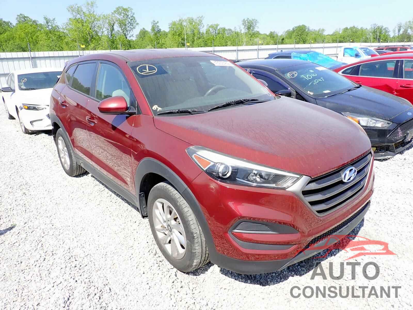 HYUNDAI TUCSON 2016 - KM8J23A44GU108766