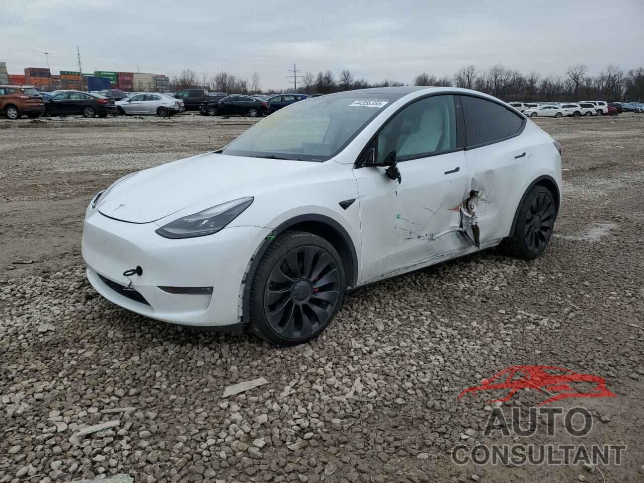 TESLA MODEL Y 2022 - 7SAYGDEF2NF531019