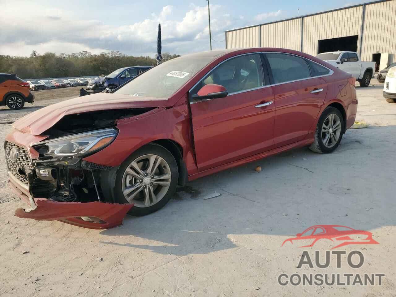 HYUNDAI SONATA 2019 - 5NPE34AF6KH814344