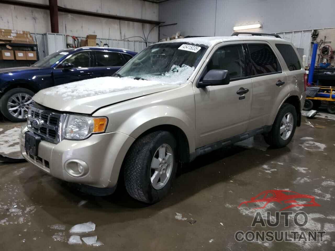 FORD ESCAPE 2010 - 1FMCU0DG0AKC51725